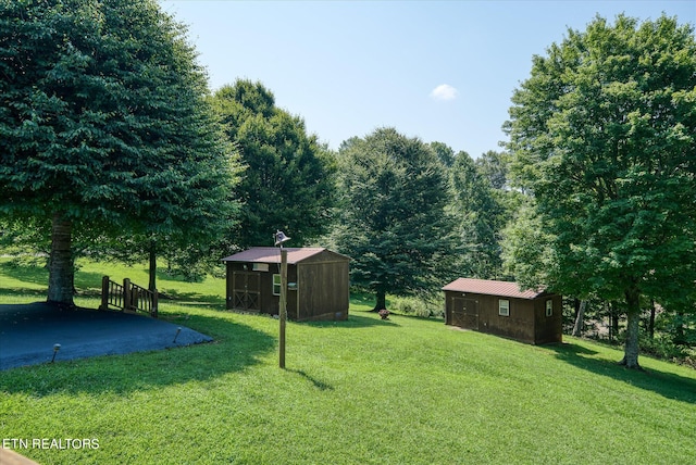 view of yard featuring an outdoor structure