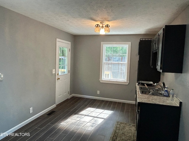 unfurnished dining area with dark hardwood / wood-style floors, a textured ceiling, and sink