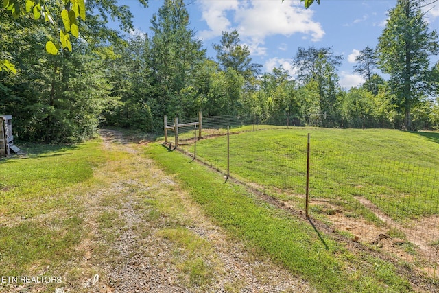 view of yard with a rural view