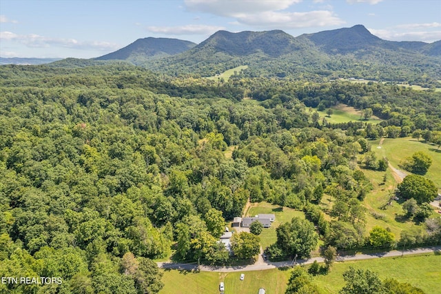 drone / aerial view with a mountain view