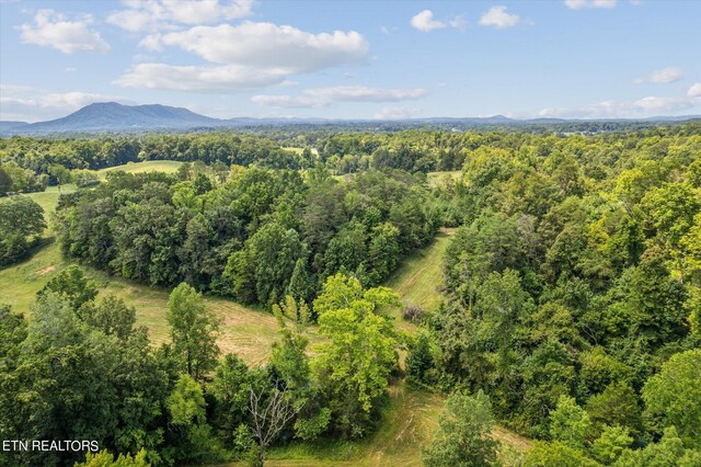 bird's eye view with a mountain view