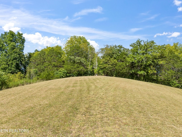 Bear Creek Rd, Bybee TN, 37713 land for sale