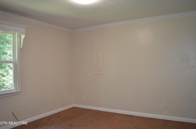 carpeted empty room featuring ornamental molding and a healthy amount of sunlight