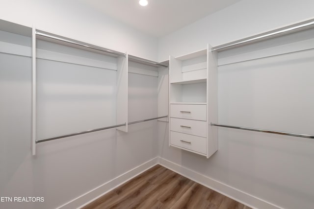 spacious closet featuring wood-type flooring