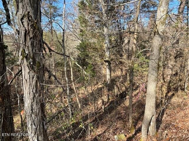 Happy Hollow Ln, Sevierville TN, 37876 land for sale