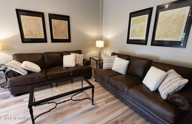 living room featuring light wood-type flooring