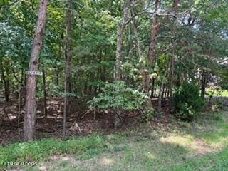 Listing photo 2 for 125 Lechmere Dr, Crossville TN 38558