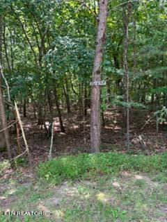 125 Lechmere Dr, Crossville TN, 38558 land for sale