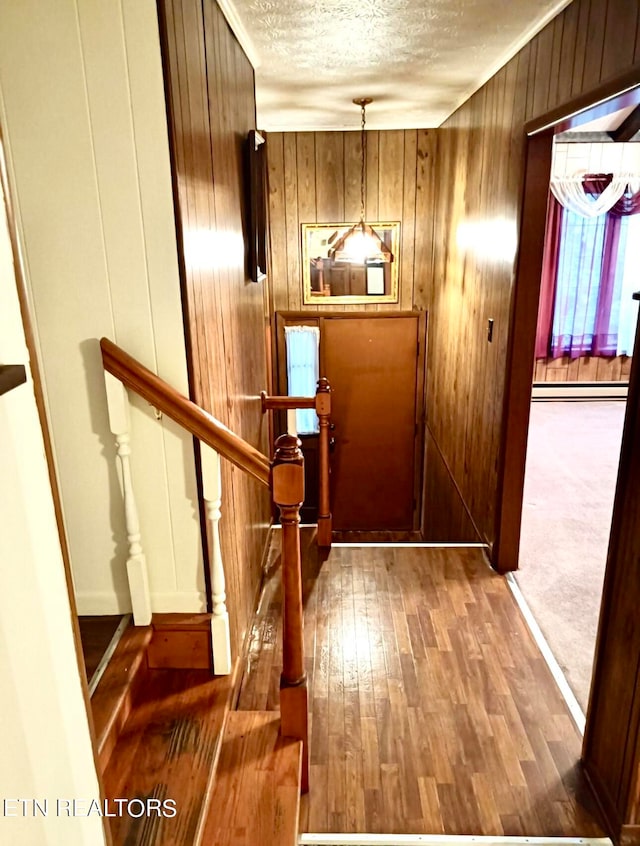 doorway with a textured ceiling, carpet floors, wooden walls, and a baseboard radiator