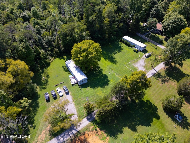 E Hendron Chapel Rd, Knoxville, TN 37920