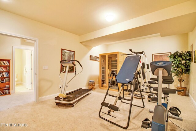 exercise area featuring carpet floors