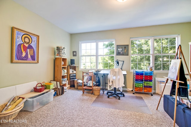 view of carpeted office