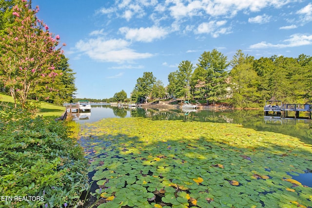 property view of water