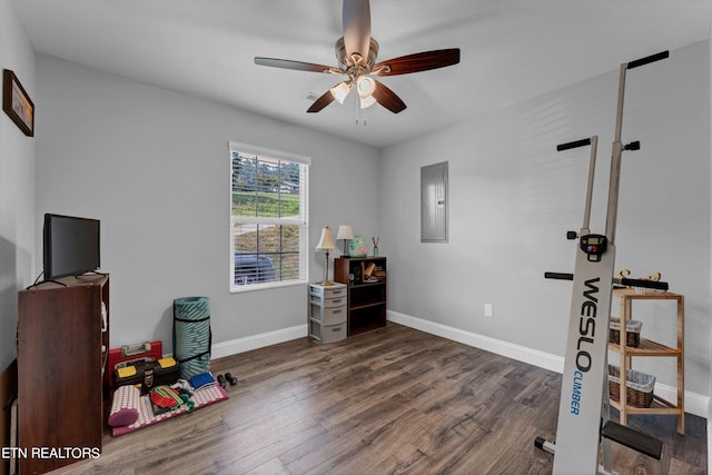 office with dark hardwood / wood-style flooring, electric panel, and ceiling fan