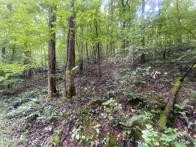 LOT63 Hiwassee View Dr, Jacksboro TN, 37757 land for sale