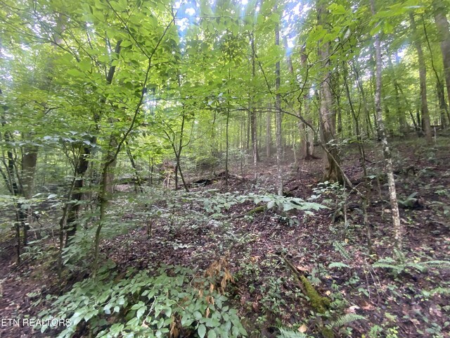 Listing photo 2 for LOT63 Hiwassee View Dr, Jacksboro TN 37757