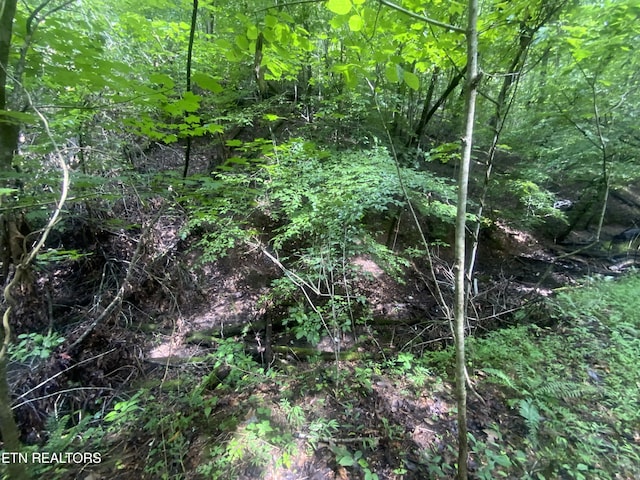 Listing photo 3 for LOT63 Hiwassee View Dr, Jacksboro TN 37757