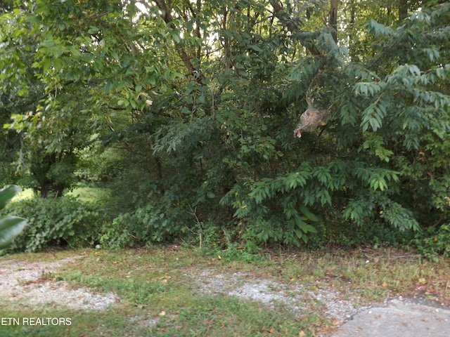 LOT12 Robin Dr, New Tazewell TN, 37825 land for sale