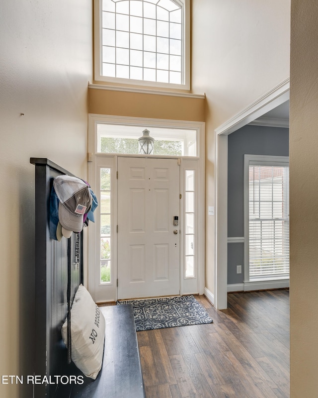 entryway featuring hardwood / wood-style flooring and ornamental molding