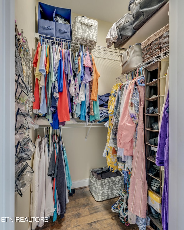 spacious closet with hardwood / wood-style flooring