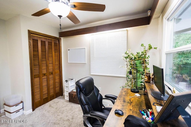 office with ceiling fan and carpet