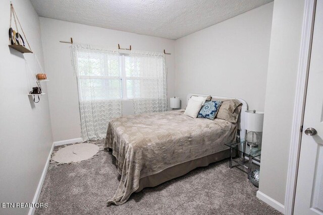 bedroom with a textured ceiling and carpet