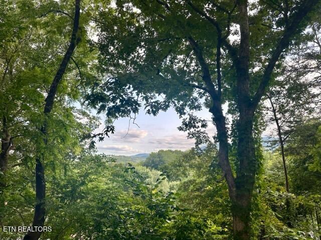 view of nature featuring a view of trees