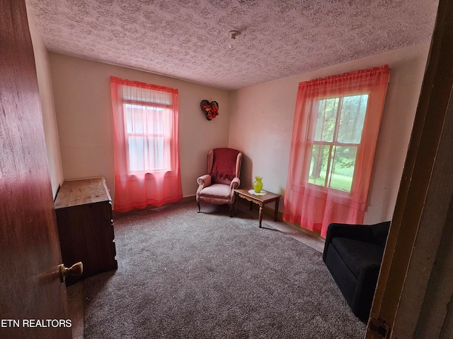 living area with a textured ceiling and carpet floors