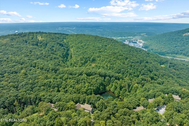 drone / aerial view with a water view and a forest view