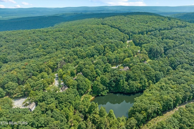 birds eye view of property featuring a water view and a wooded view