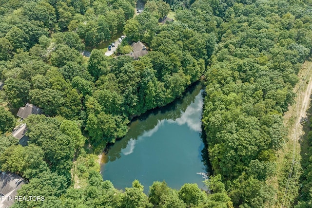 bird's eye view featuring a water view and a wooded view