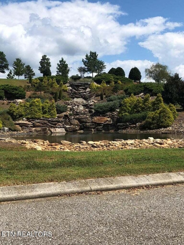 76 Twin Lakes Dr, Loudon, TN 37774 - photo 1