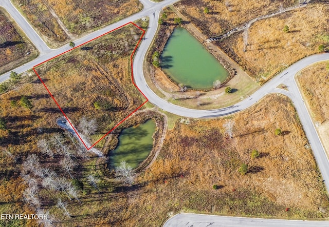 76 Twin Lakes Dr, Loudon, TN 37774 - photo 5