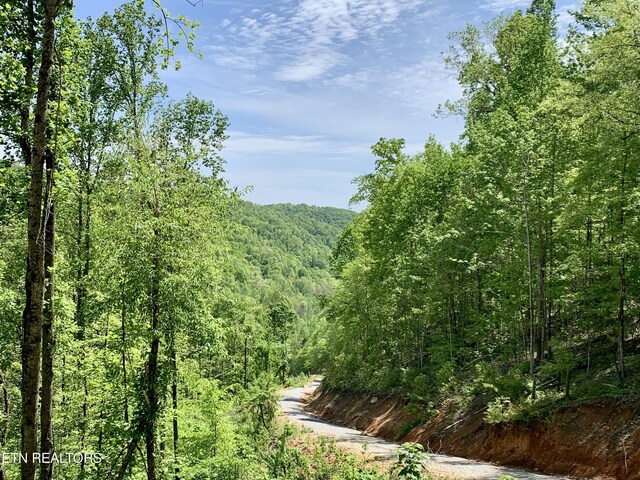 1088 Jones Ridge Rd, Speedwell, TN 37870 - photo 36