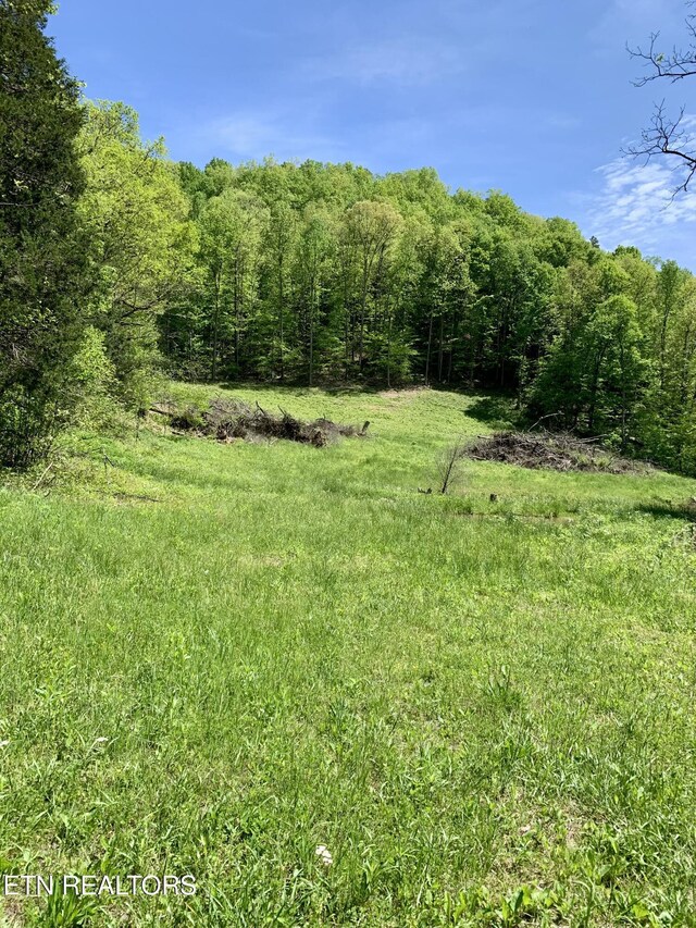 1088 Jones Ridge Rd, Speedwell, TN 37870 - photo 38