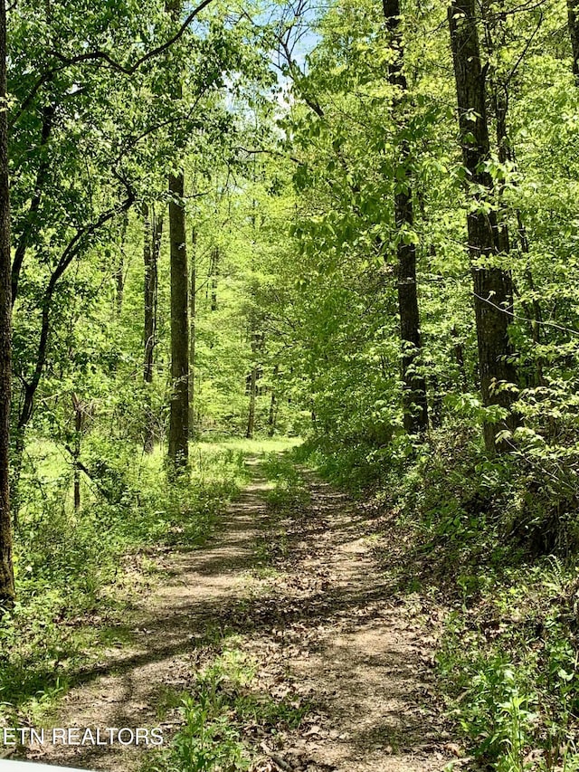1088 Jones Ridge Rd, Speedwell, TN 37870 - photo 43