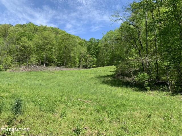 1088 Jones Ridge Rd, Speedwell, TN 37870 - photo 39