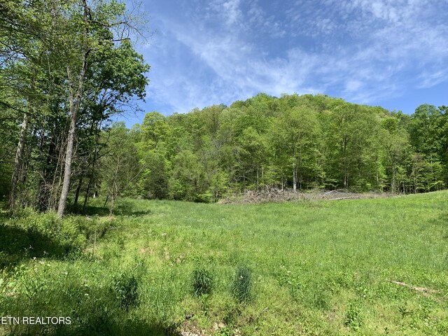 1088 Jones Ridge Rd, Speedwell, TN 37870 - photo 37