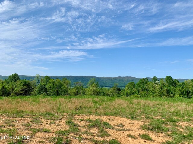 1088 Jones Ridge Rd, Speedwell, TN 37870 - photo 4