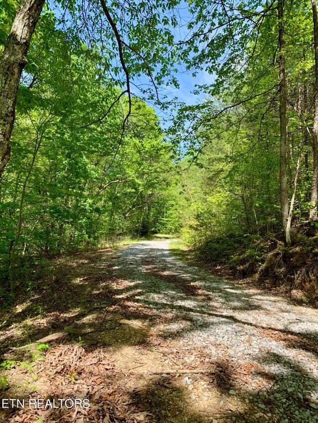 1088 Jones Ridge Rd, Speedwell, TN 37870 - photo 50