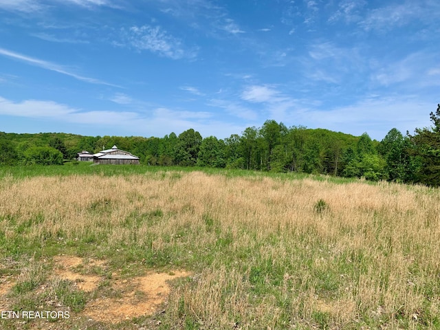 1088 Jones Ridge Rd, Speedwell, TN 37870 - photo 2