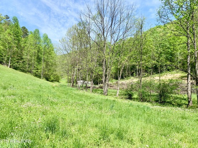 1088 Jones Ridge Rd, Speedwell, TN 37870 - photo 47