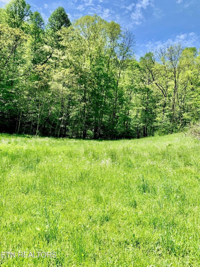 1088 Jones Ridge Rd, Speedwell, TN 37870 - photo 49