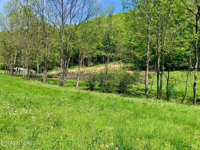 1088 Jones Ridge Rd, Speedwell, TN 37870 - photo 48