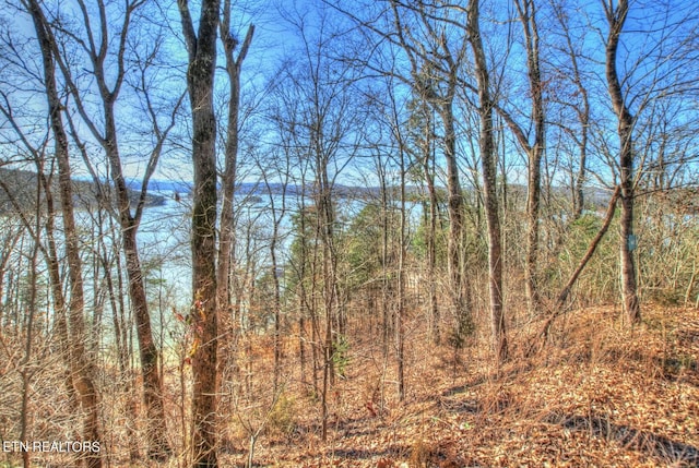 Listing photo 3 for LOT776 Russell Brothers Rd, Sharps Chapel TN 37866