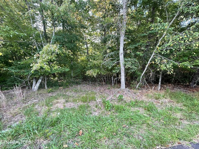 Minetta Dr, Crossville TN, 38558 land for sale