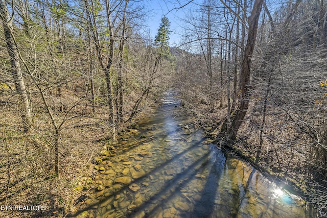 water view featuring a wooded view