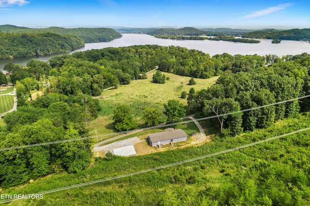 bird's eye view featuring a water view and a view of trees