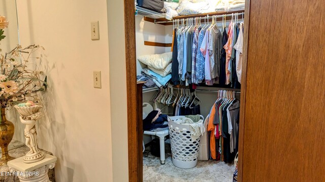 view of closet