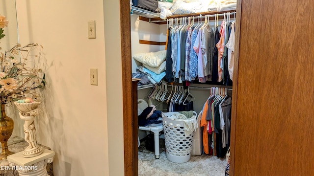 view of spacious closet